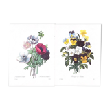 The bouquets of spring - PJ Redouté