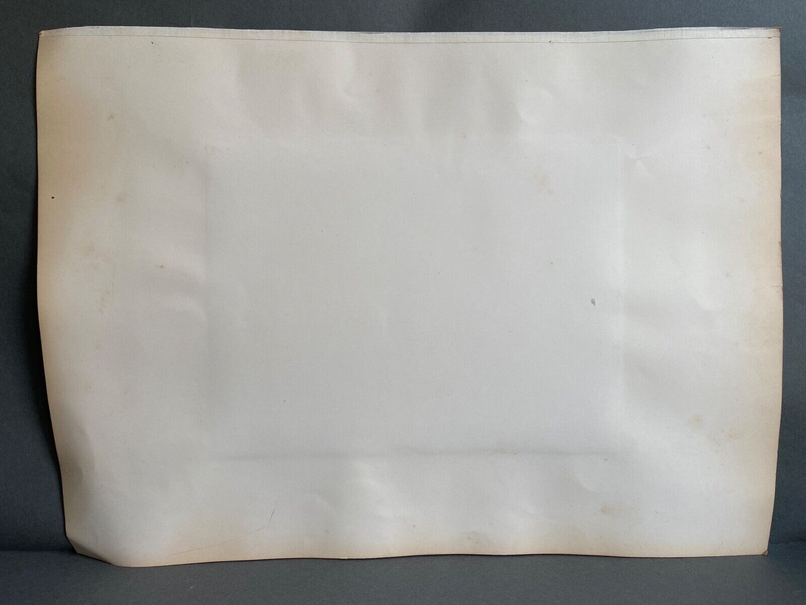 Photo around Genoa Villa Pallavicini XIXe Albumine