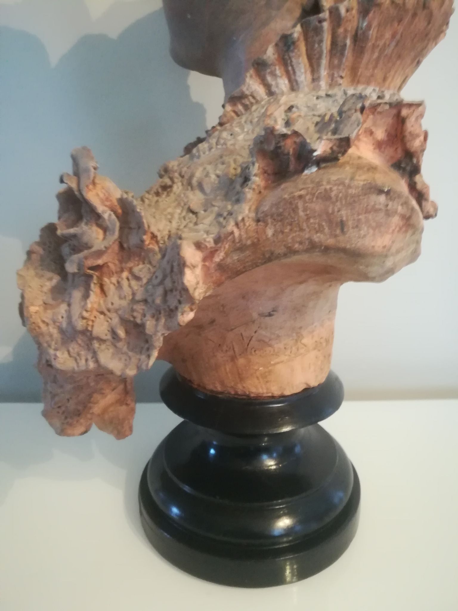 Bust signed D. Van Den Bossche in terracotta