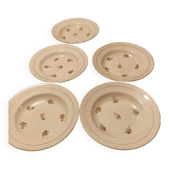 Lot de 5 assiettes Labrut et cie