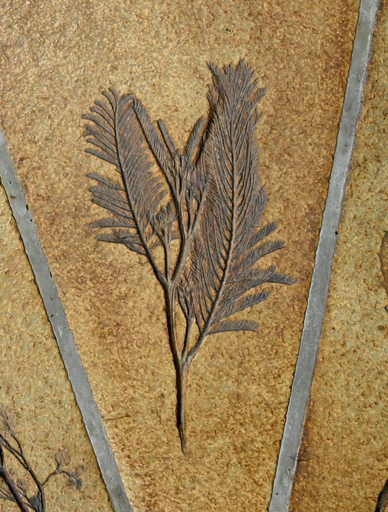 Oval coffee table signed R. Capron, collection les Herbiers, Vallauris – 1960