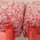 Paire de tabourets en bois crabes rouge