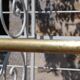 Large baker's shelf, 1950, wrought iron brass