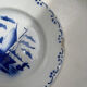 A Sodex plate