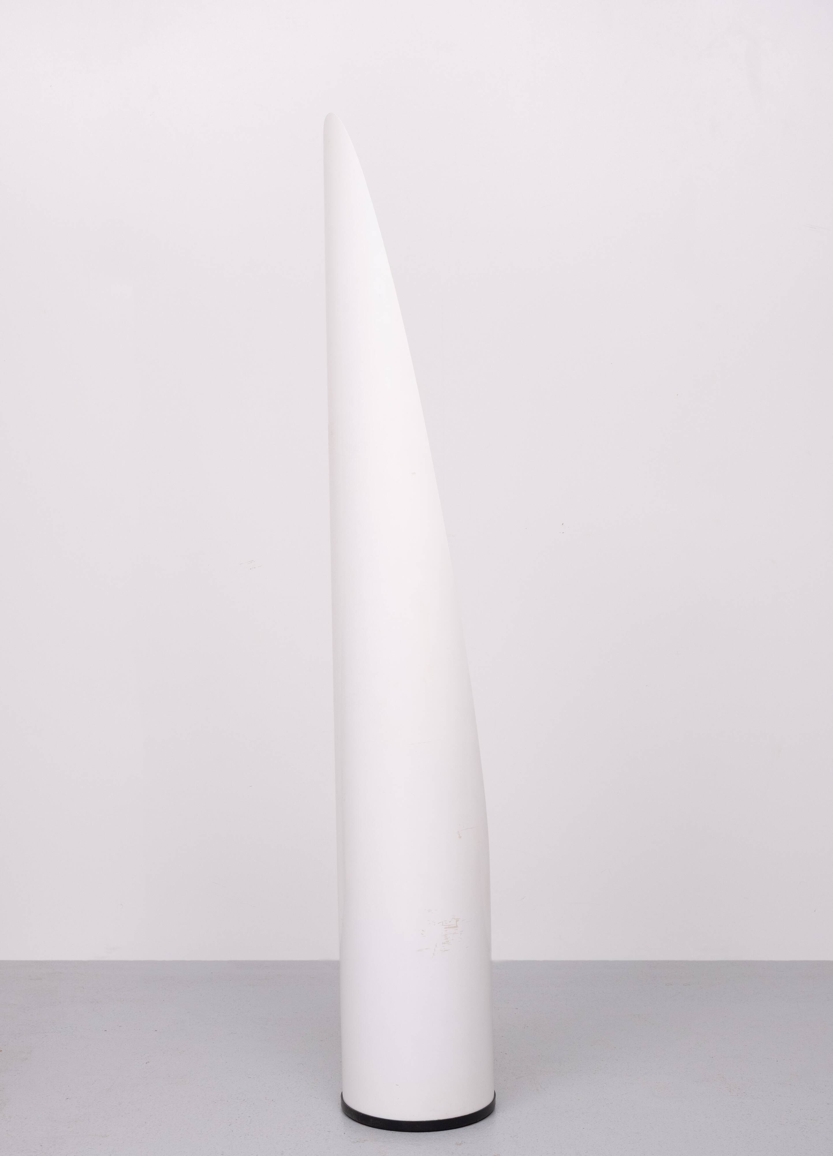 Miroir à rouge à lèvres Unghia Miroir pleine longueur Space Age années 1970