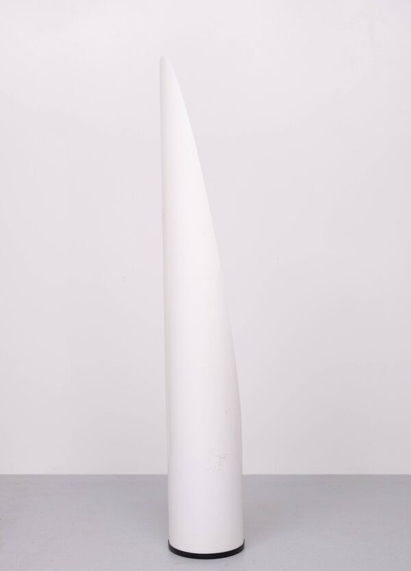 Miroir à rouge à lèvres Unghia Miroir pleine longueur Space Age années 1970