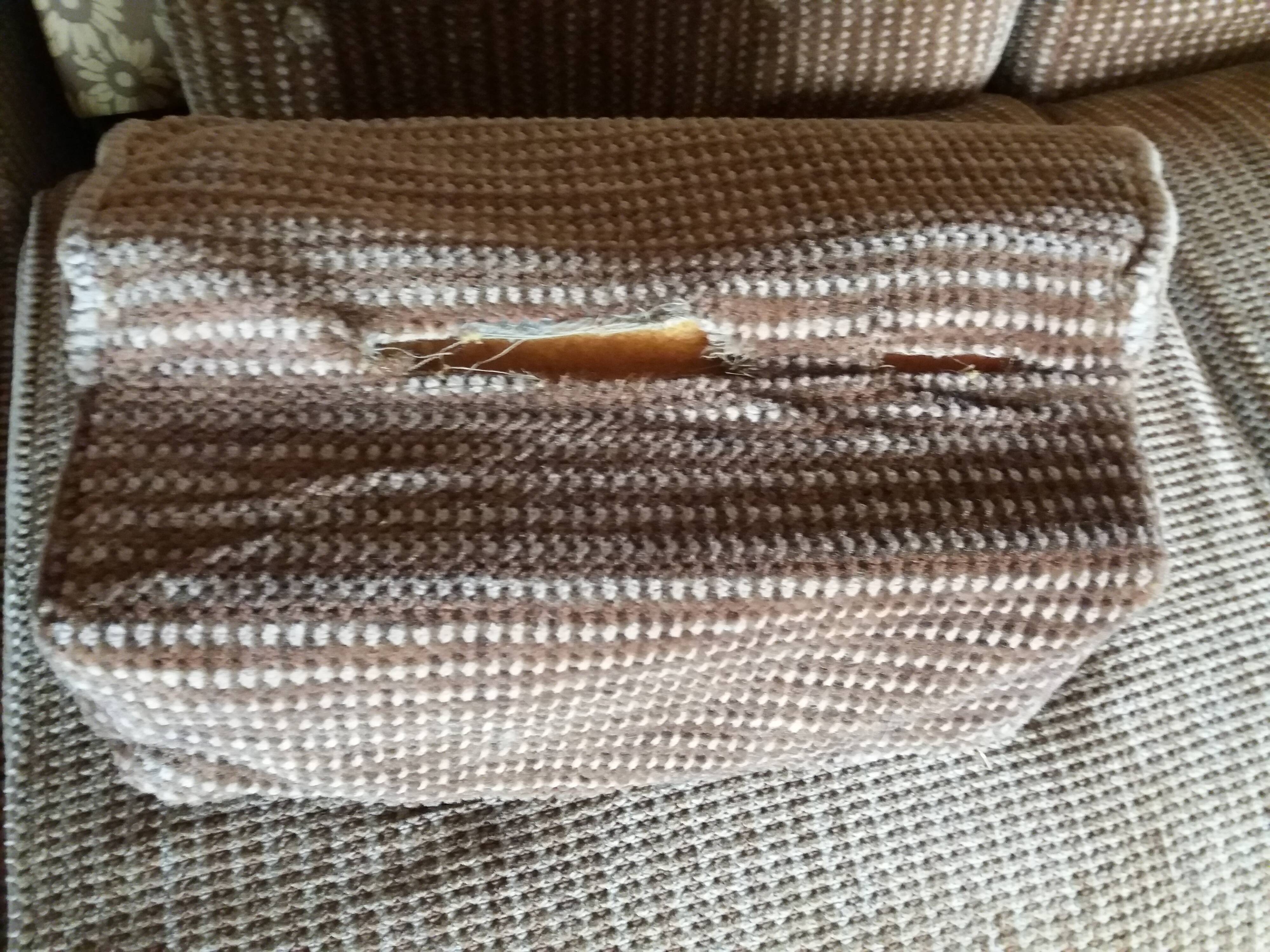 Sofa bed Ducal by Albert Ducrot 60s to restore