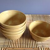Set of 5 bowls in stoneware Digoin