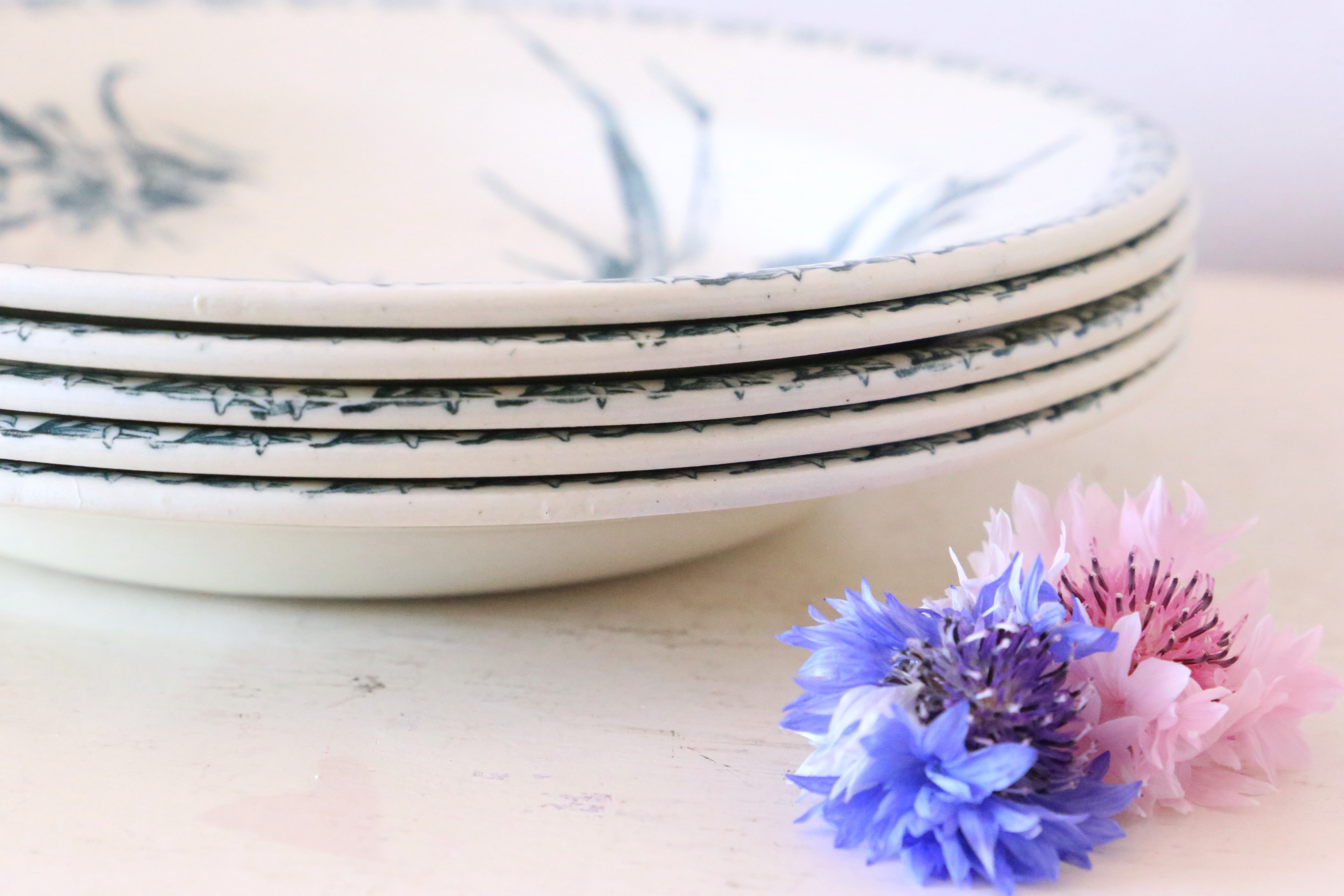 Hollow plates x5, Gien, Glaieul pattern, iron earth