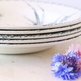 Hollow plates x5, Gien, Glaieul pattern, iron earth