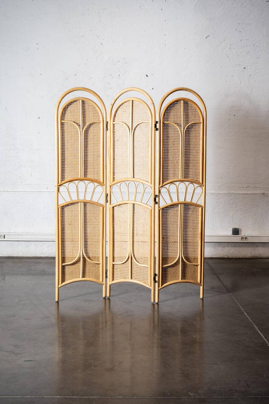 Italian cane screen
