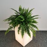 Plexiglas floor lamp & planter