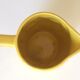 Old yellow pitcher Ceranord