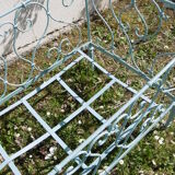 Wrought iron bed and his Swan-neck