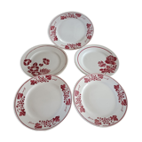 Set of five iron earth plates