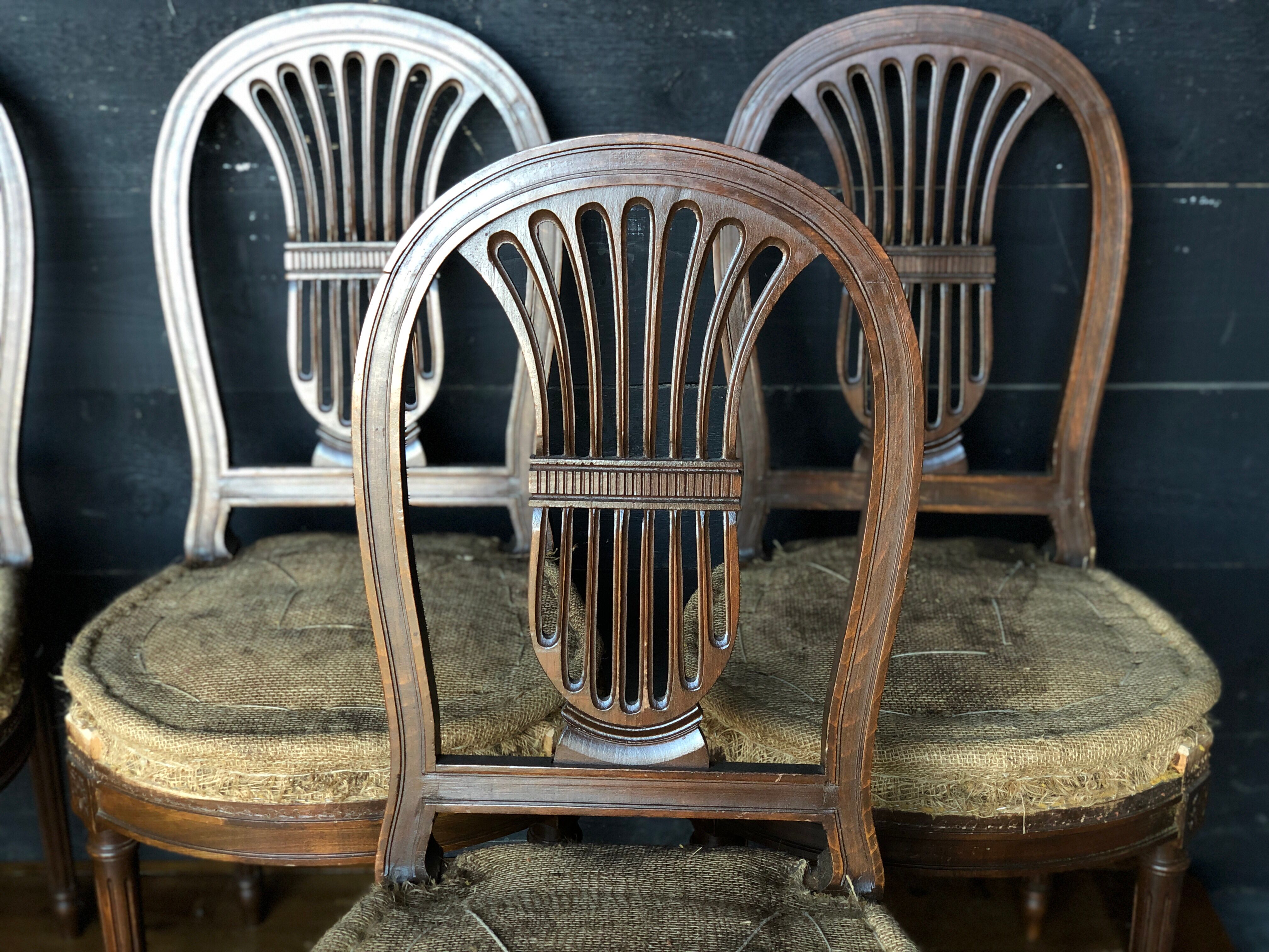 6 Louis XVI-style chairs