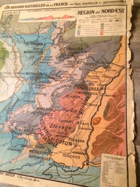 School card no. 7 Paul Kaeppellin Northeast region