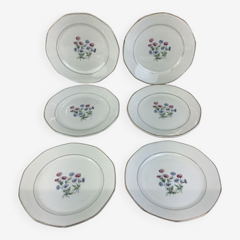 6 Dessert plates made in France Digoin