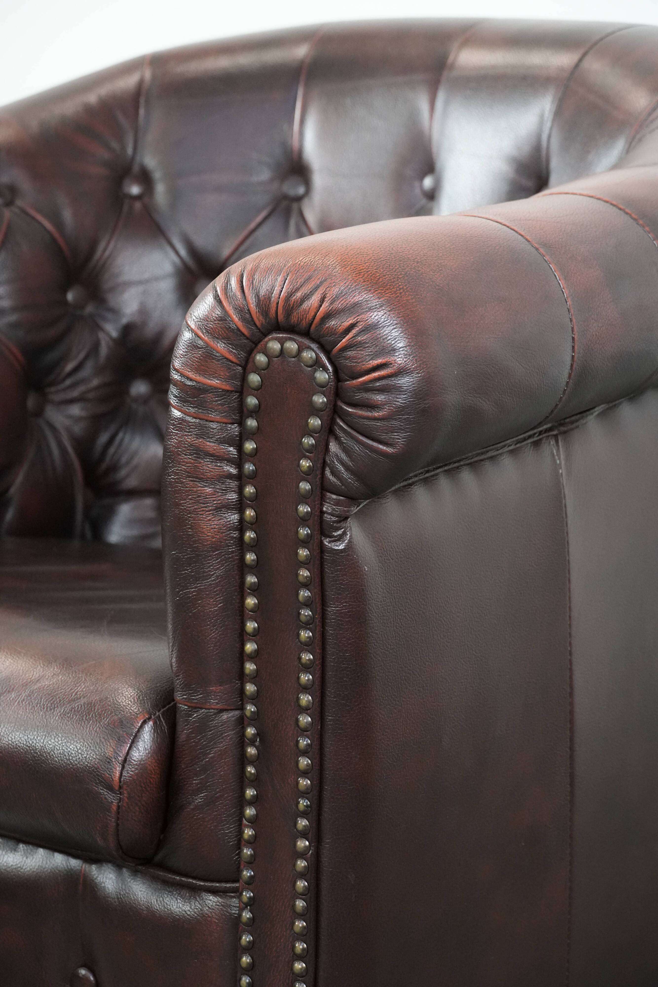 Classic English-style Chesterfield club armchair in cowhide leather