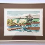 Numbered lithograph signed by Yves BRAYER: horses in the Camargue