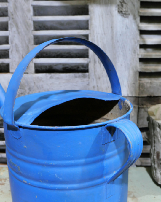 Blue zinc watering can