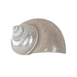 Mother-of-pearl seashell, Italian design, 1970s, made in Italy
