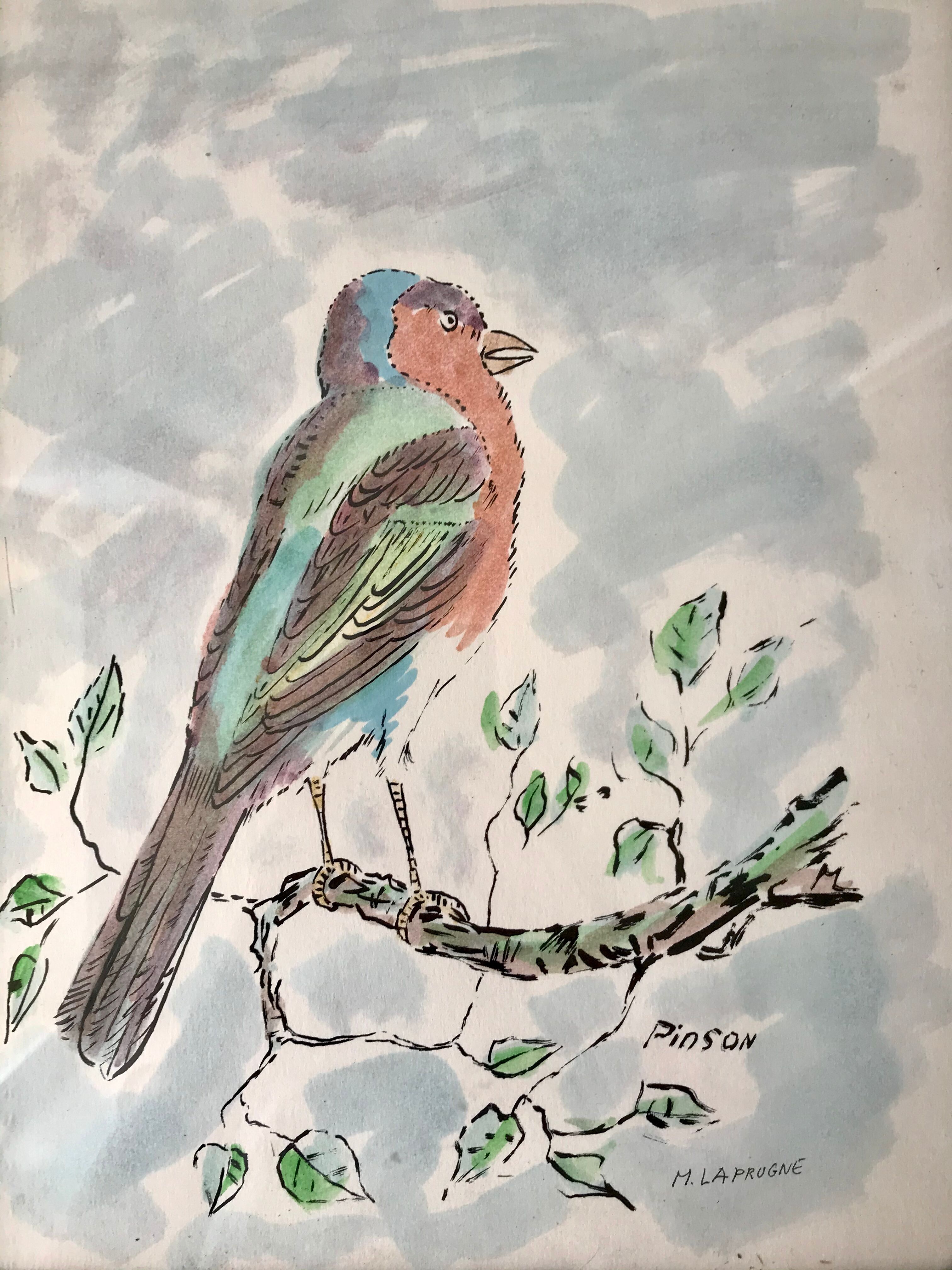 Watercolor bird Pinson signed vintage