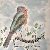 Watercolor bird Pinson signed vintage