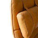 Vintage armchairs with cushions