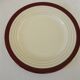 Digoin sarreguemines opaque porcelain dinner plates, pasteur pattern