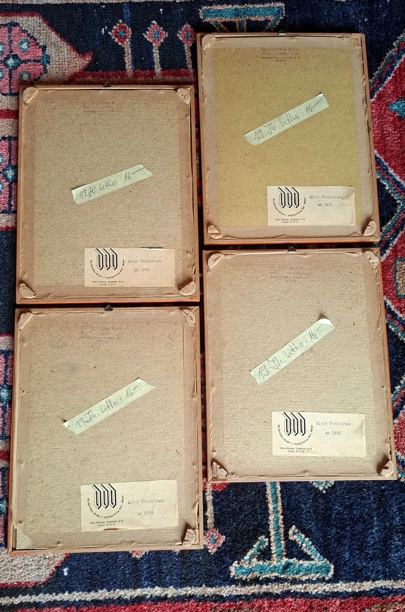 Set of 4 authentic antique naturalist lithographs (circa 1850)