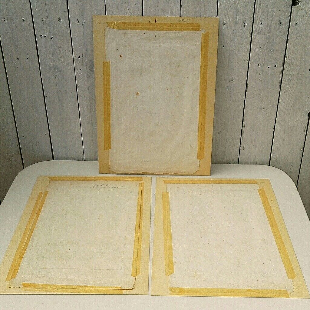 Engravings EIGHTEENth hermaphrodites Diderot cabinet curiosity