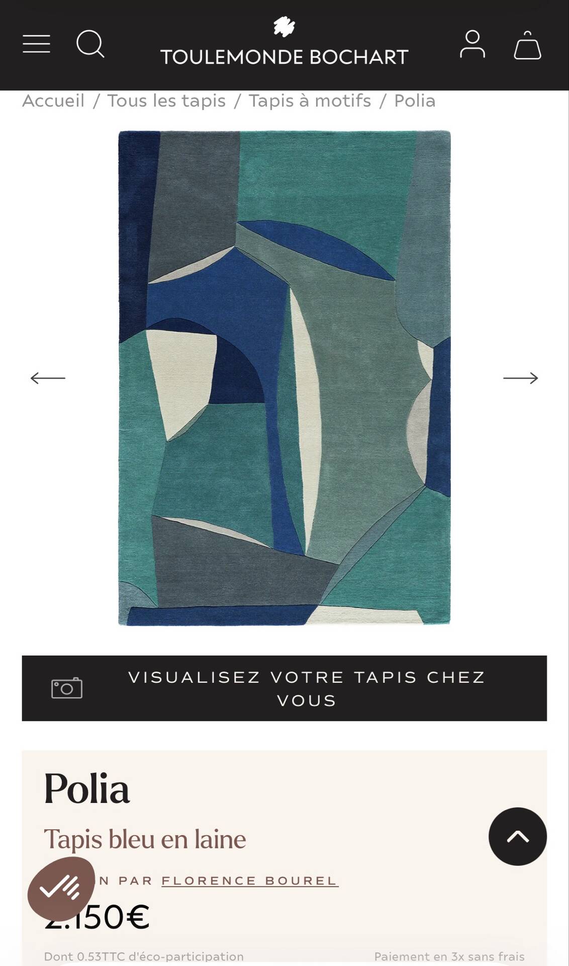 Large Contemporary Rug