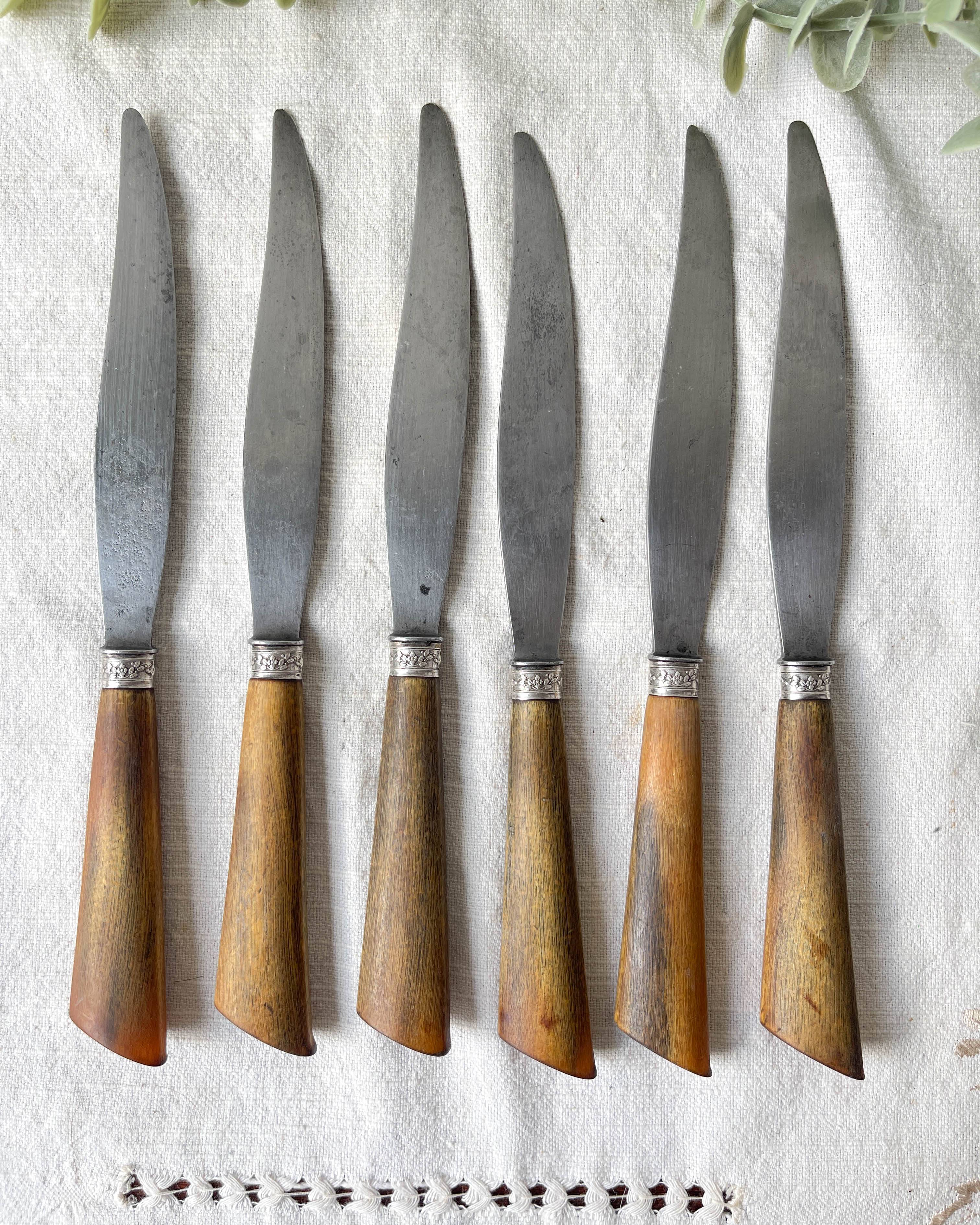 6 Vintage Horn Knives Silver Steel Blade LEPINE A LYON France 19th Century