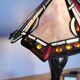 Tiffany style lamp, stained glass, art nouveau