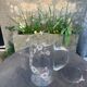 Orangeade decanter with ancient engraved flowers