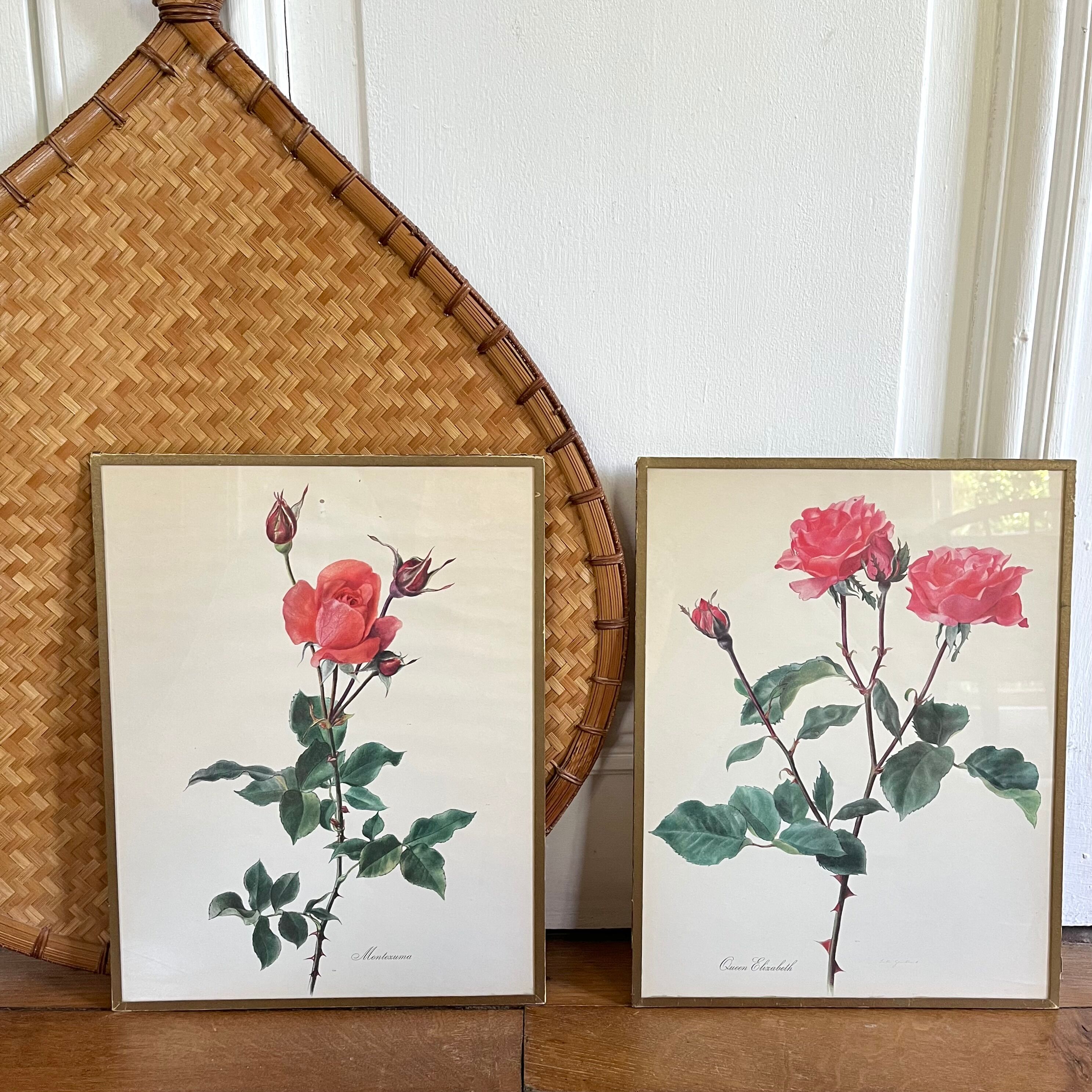 Pair of vintage botanical boards