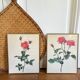 Pair of vintage botanical boards