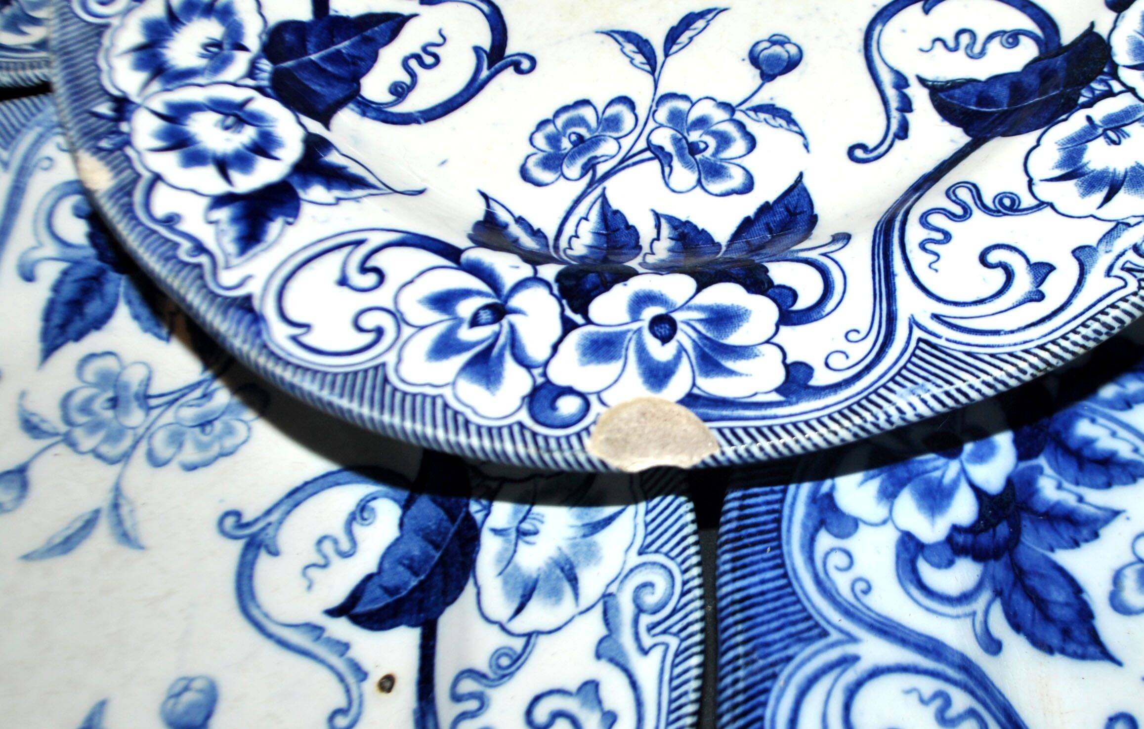 Lot de 6 assiettes Flora décor liseron bleu LM&cie 1840-1875 Creil Montereau