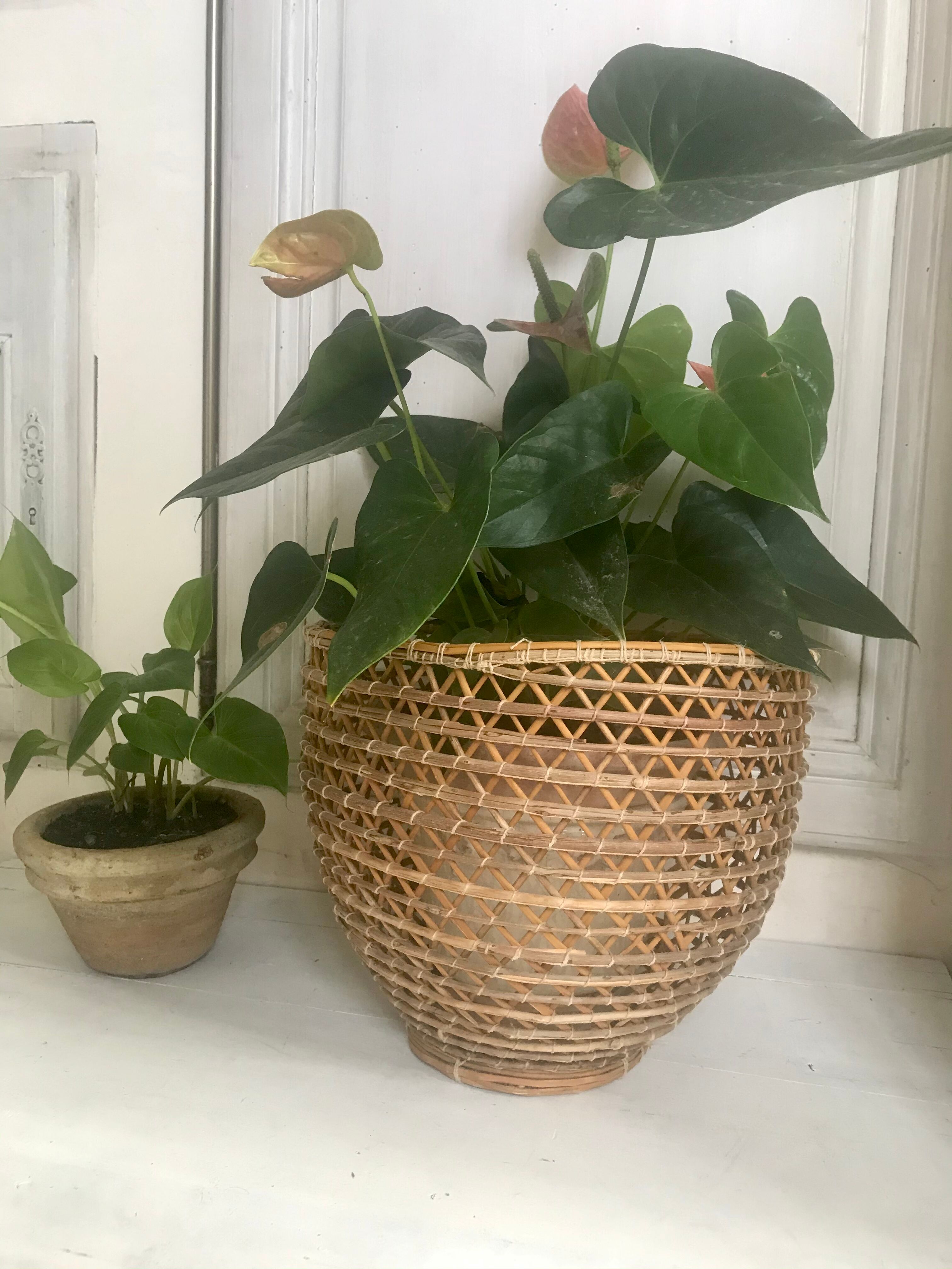 Rattan pot-pot