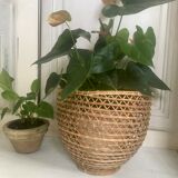 Rattan pot-pot
