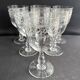 6 verres à eau Baccarat gravure Grecque inclinée