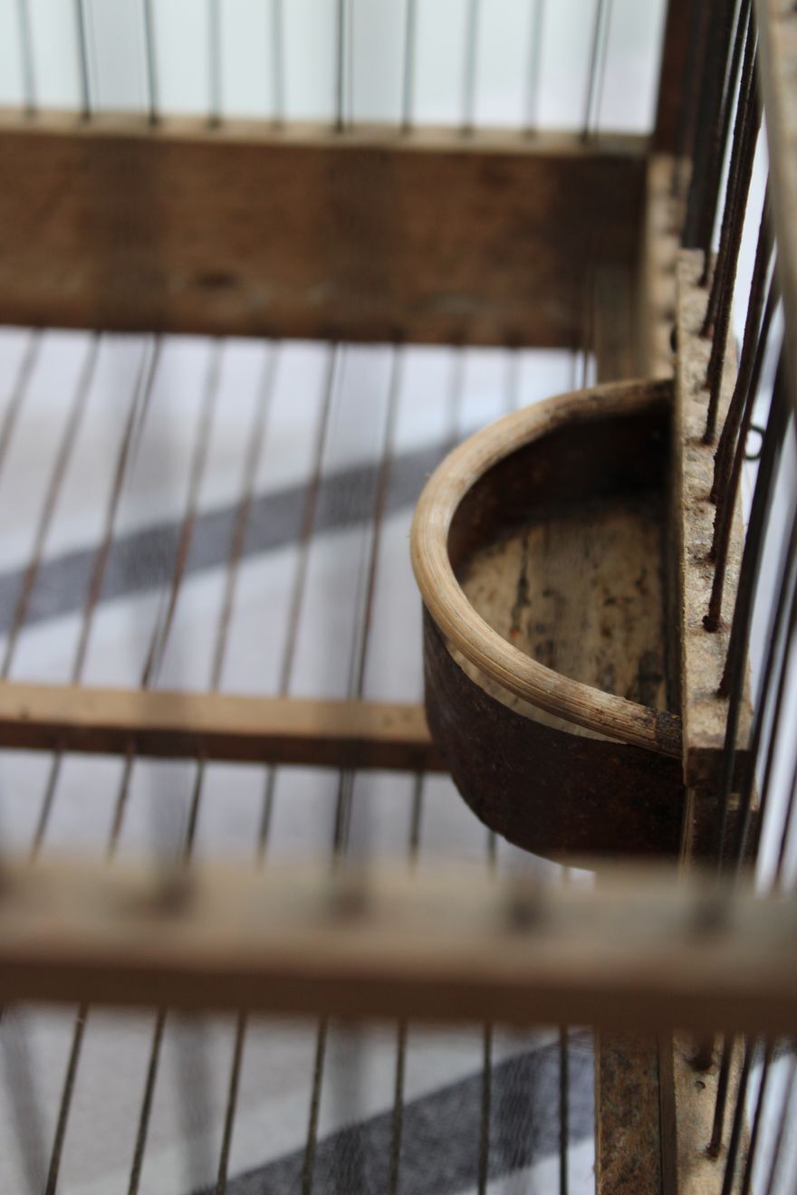 Old wooden bird cage