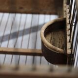Old wooden bird cage