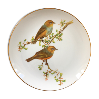 Collectible plate