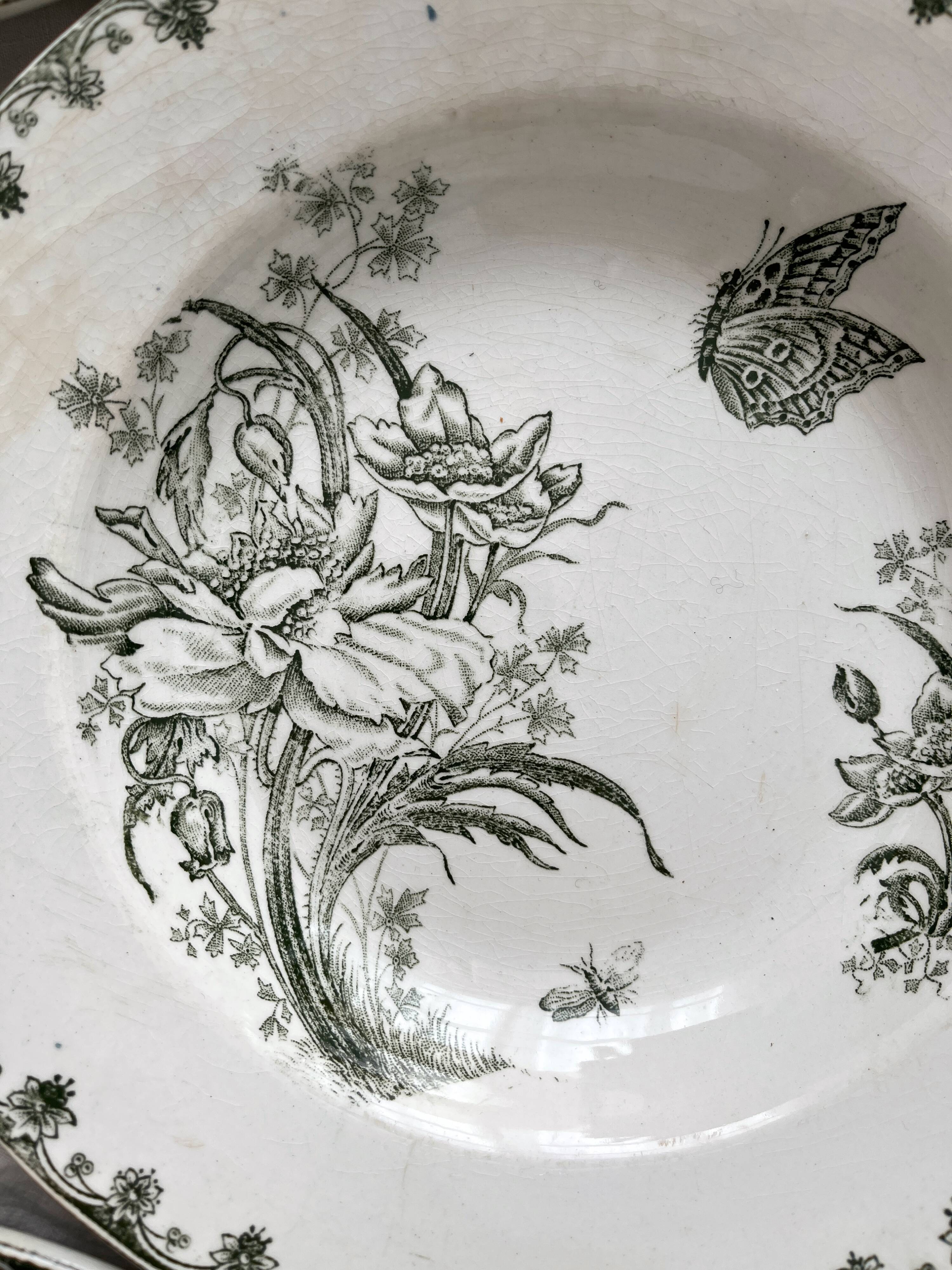 7 earthenware soup plates with butterfly and flower design "Nancy" LG Clairefontaine