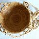 Vintage plant pot