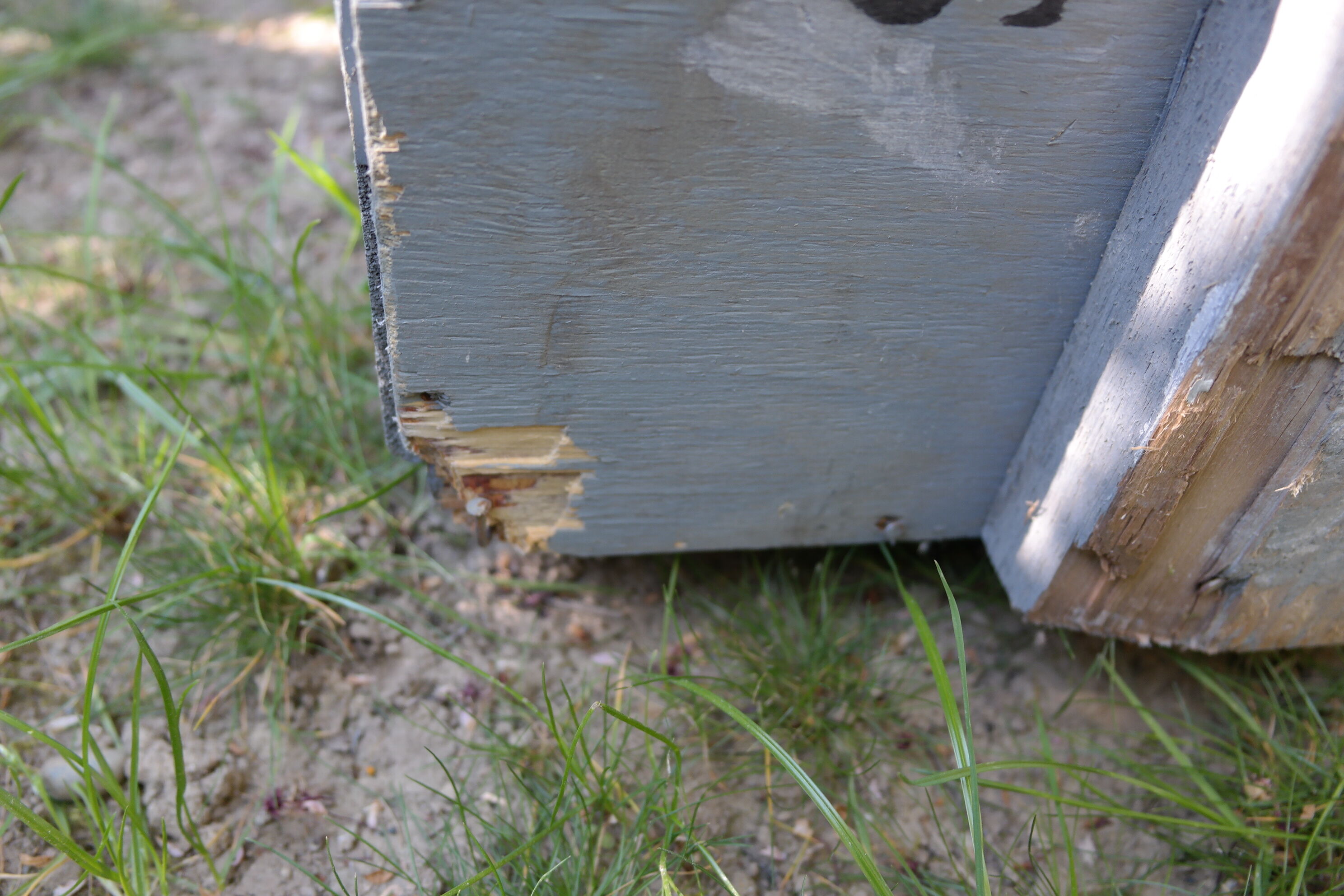 Caisse militaire en bois