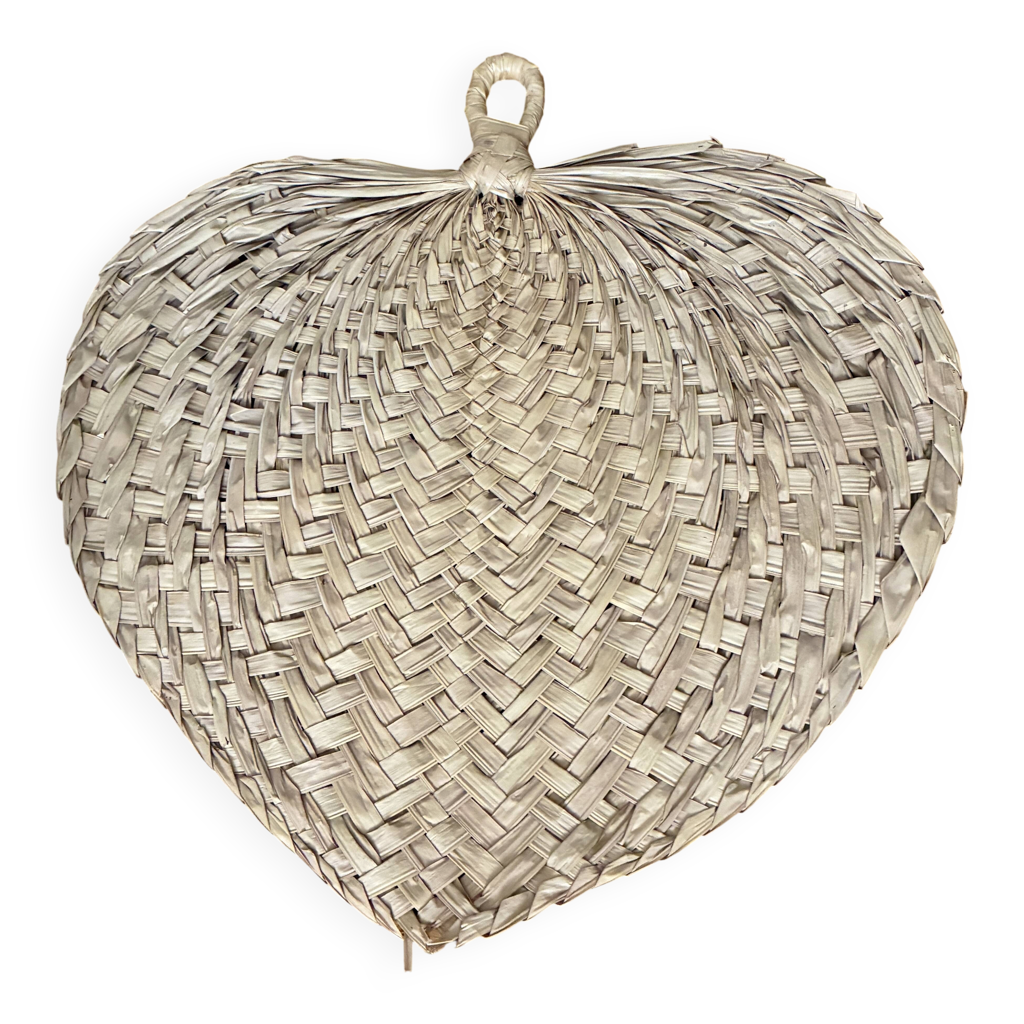 Palme éventail XL