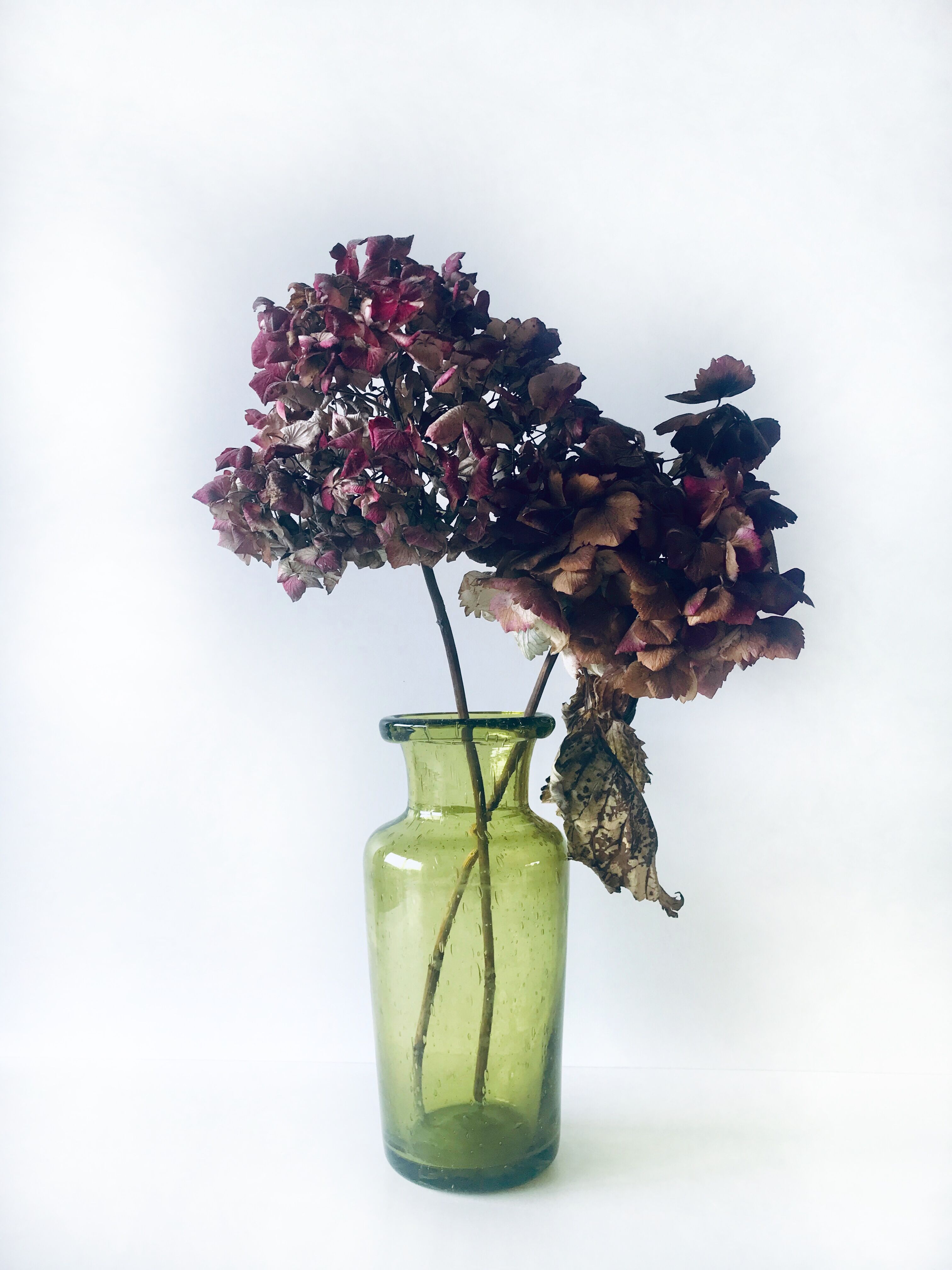 Blown and bubbled glass vase